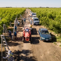 Research shows overtime law costs workers $100 per week