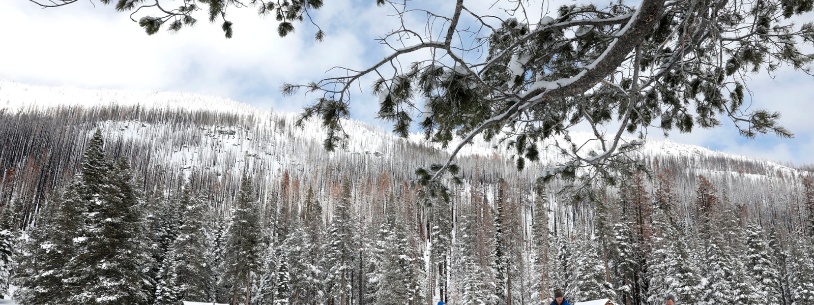 Snowpack, storms lift water-supply hopes