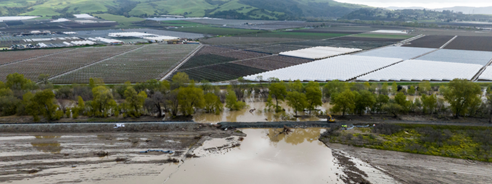 Commentary: How a difficult year revealed our farmers' resilience