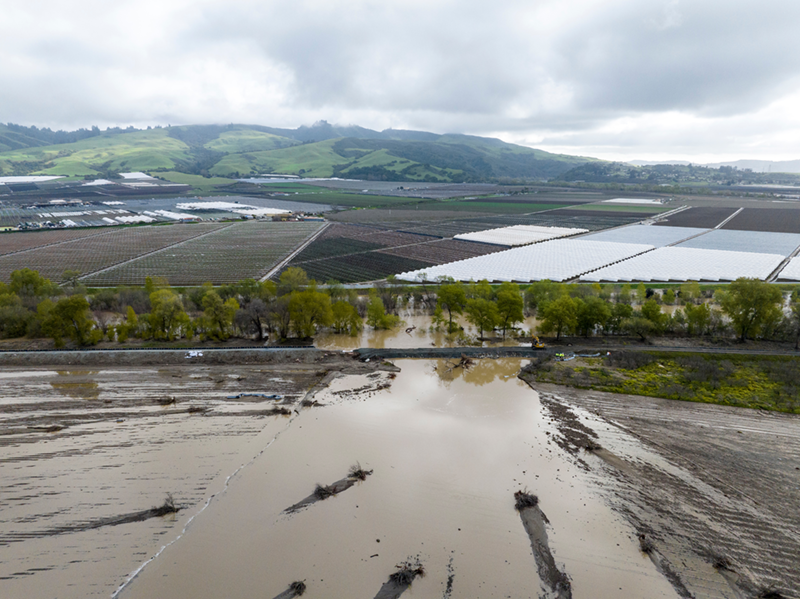 Commentary: How a difficult year revealed our farmers' resilience