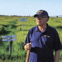 Herbicide-resistant weeds create challenges in rice