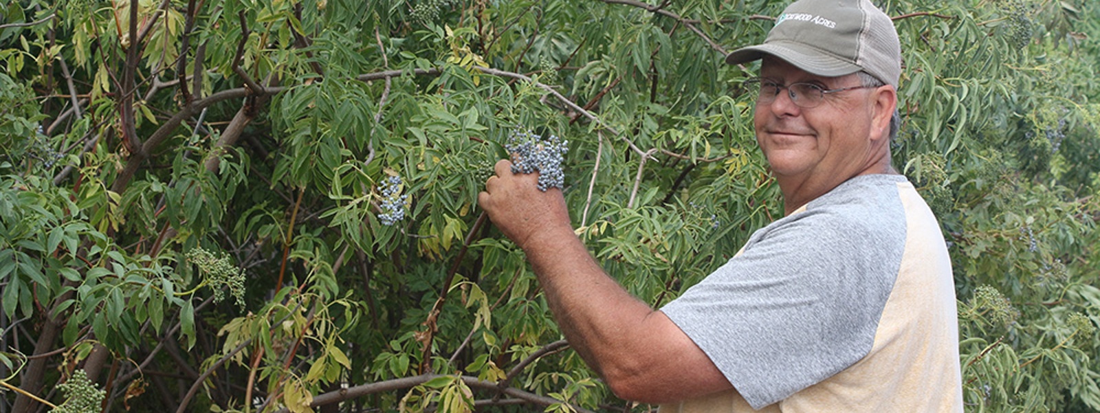 From the Fields: Ben Lyons, Solano County farmer