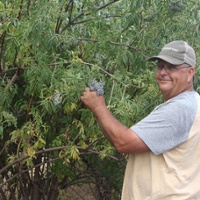 From the Fields: Ben Lyons, Solano County farmer