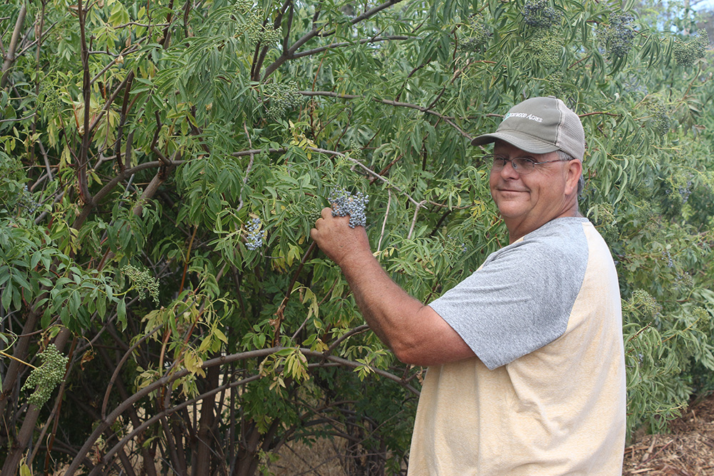 From the Fields: Ben Lyons, Solano County farmer