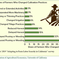 Report assesses how farms adapt to labor shortages
