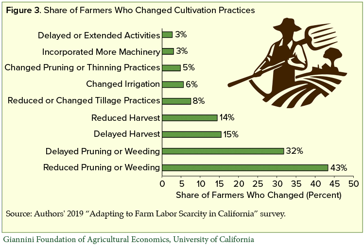 Report assesses how farms adapt to labor shortages
