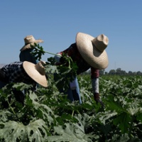 Controversy trails labor union wins under card check