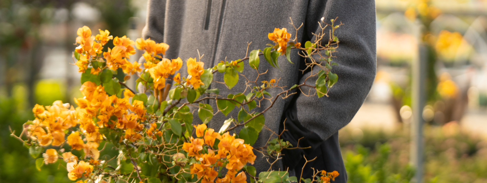 From the Fields - Jon Reelhorn