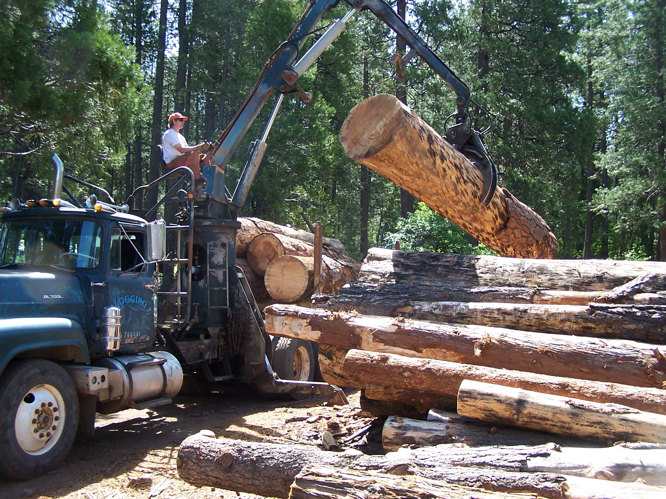 Timber producers expecting stronger demand for lumber