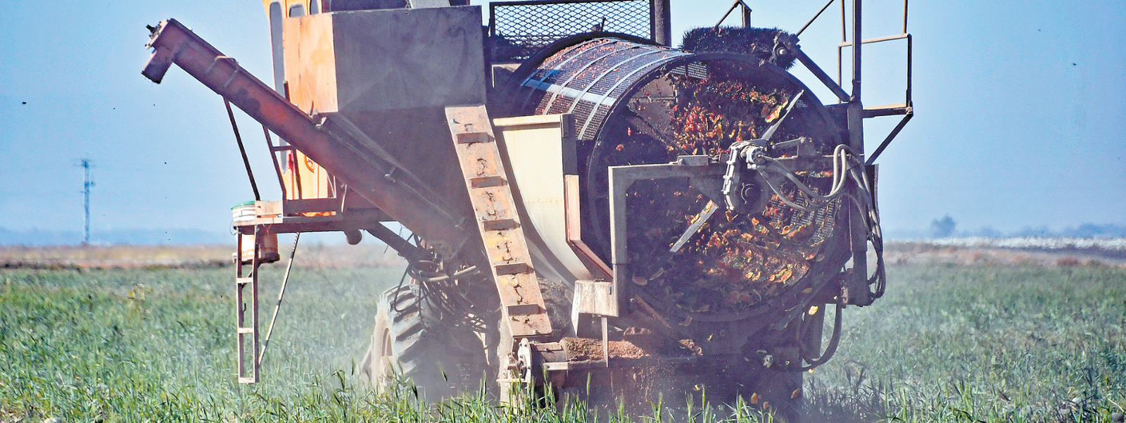 Farmers worry as seed firms scale back production