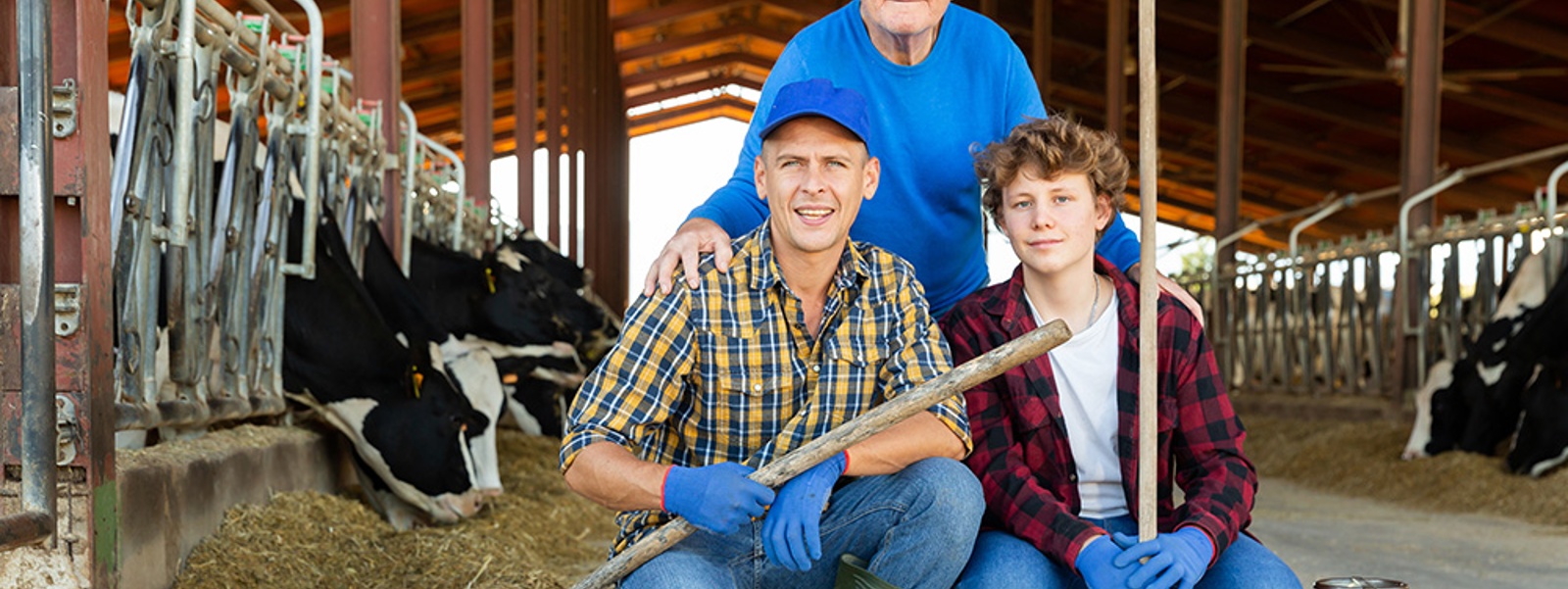 Planning for retirement: A guide for young farmers