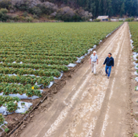 Pajaro Valley's 'King George' built a growing legacy