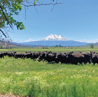 Researchers praise rancher for an enduring partnership