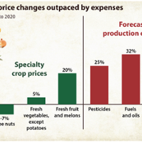 Specialty crop growers face added risk, fewer tools