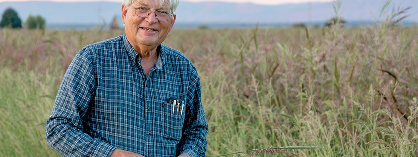 From the Fields: By Jim Rickert, Shasta County rancher and farmer