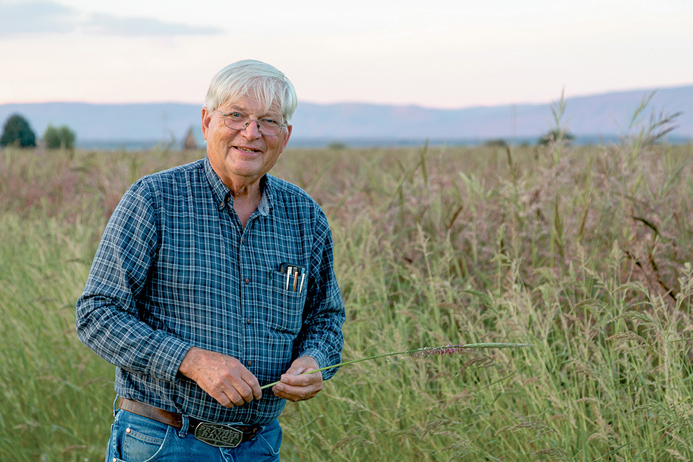 From the Fields: By Jim Rickert, Shasta County rancher and farmer