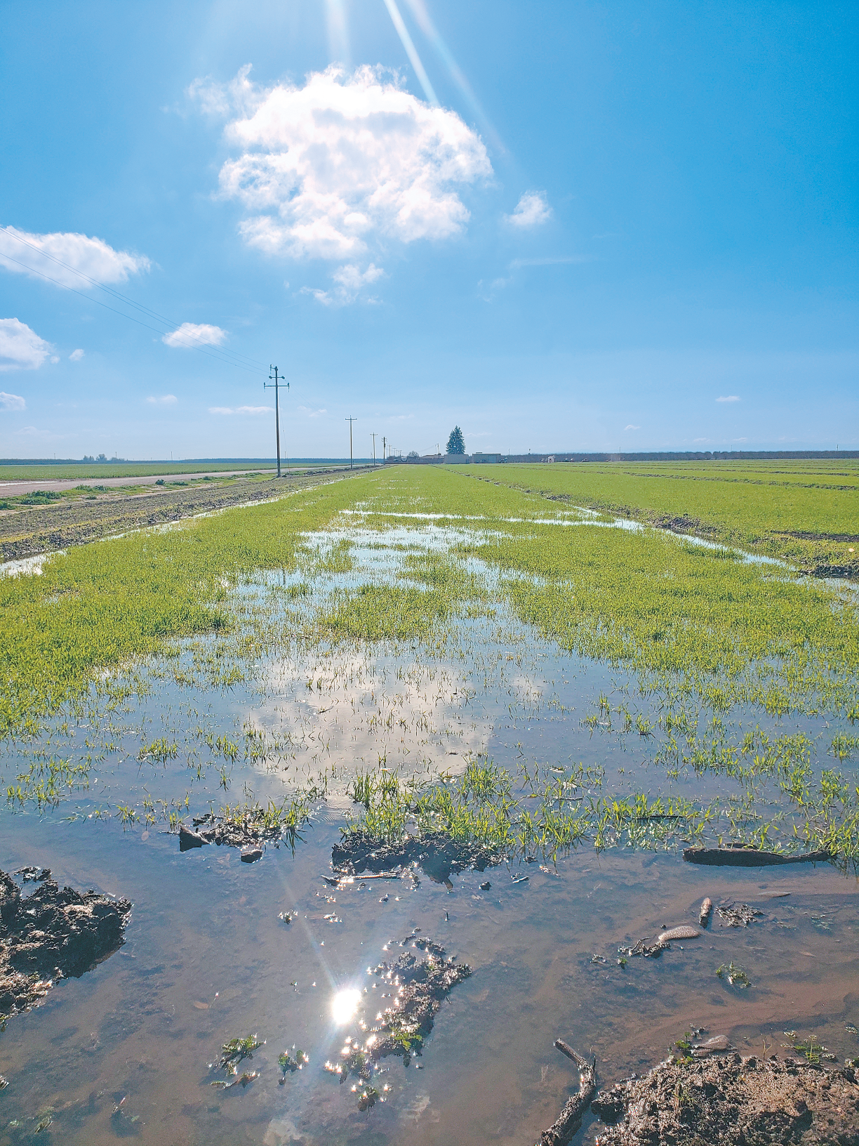 Floodwaters on farms help boost aquifers