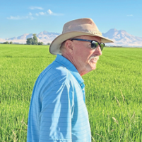 Grower embraces no-input farming, celebrates yields