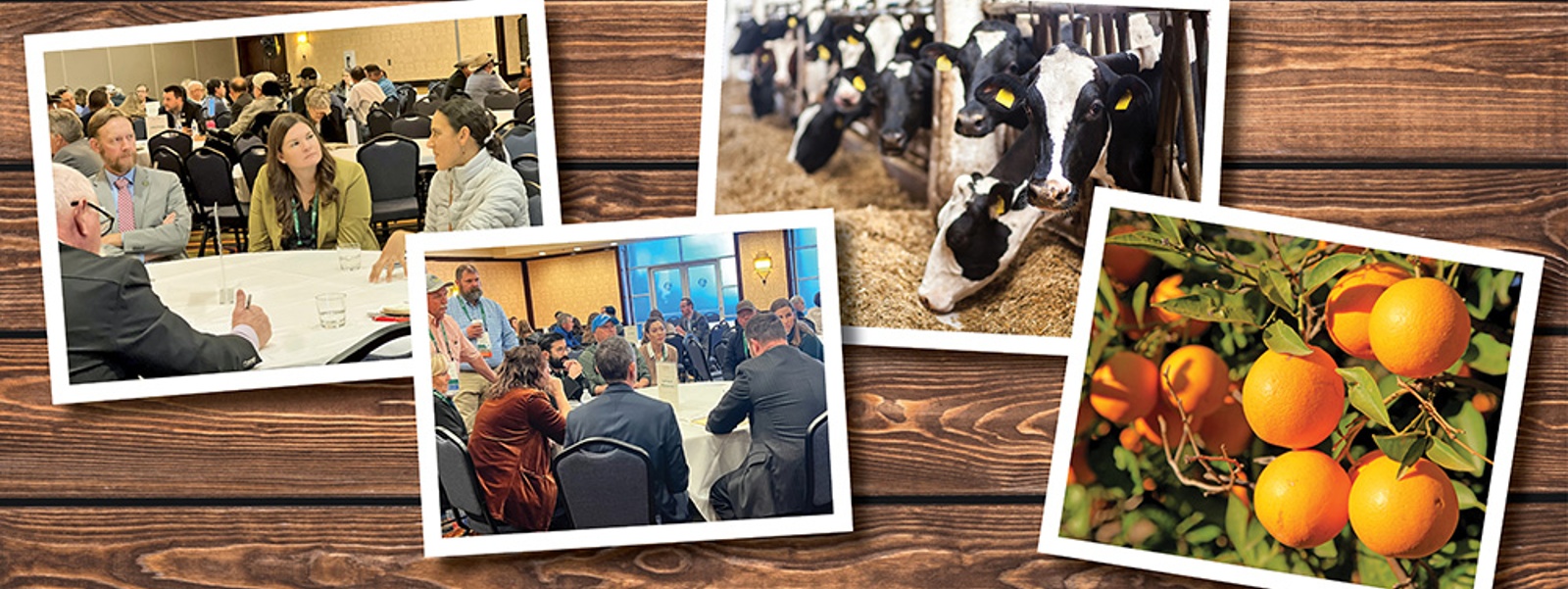 Farm Bureau invites members to participate in 2026 Commodity Advisory Committee meetings beginning in January