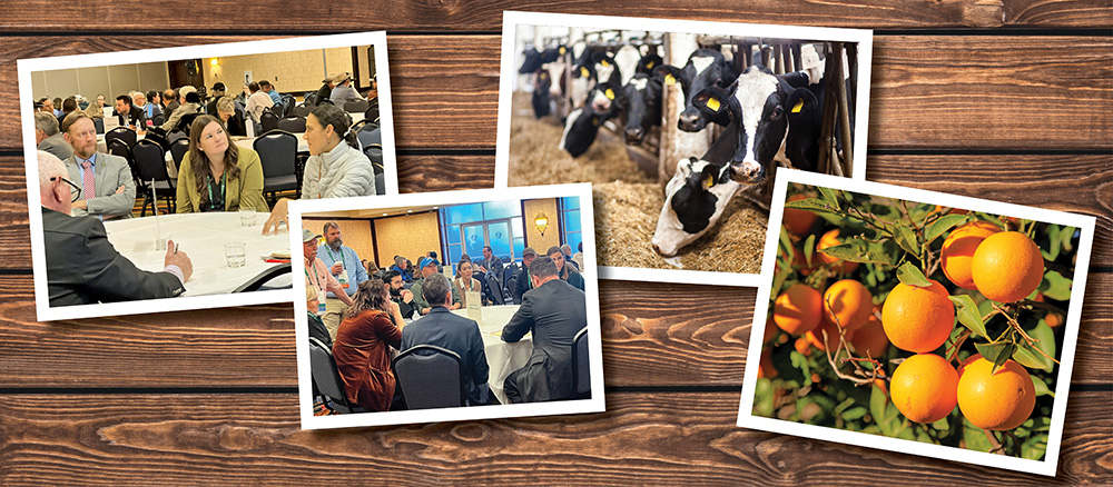 Farm Bureau invites members to participate in 2026 Commodity Advisory Committee meetings beginning in January