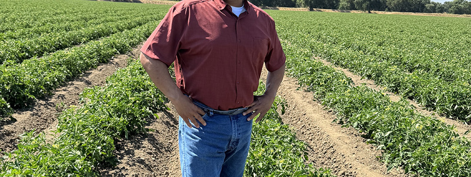 CCA Today: Managing soil health using biostimulants