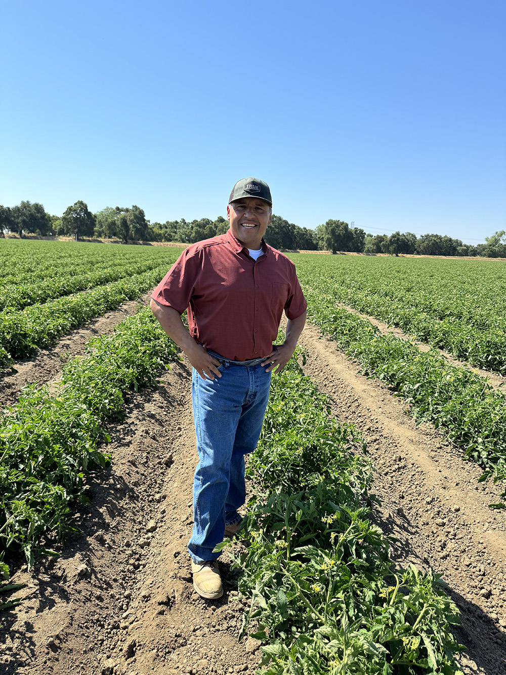 CCA Today: Managing soil health using biostimulants