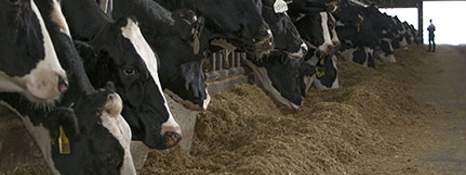 Nationwide News: Steps to stay ahead of fire hazards on your dairy farm