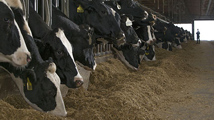 Nationwide News: Steps to stay ahead of fire hazards on your dairy farm