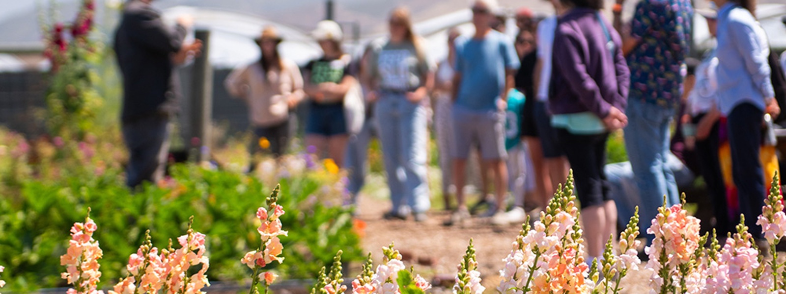 Summit seeks to strengthen agritourism&nbsp;