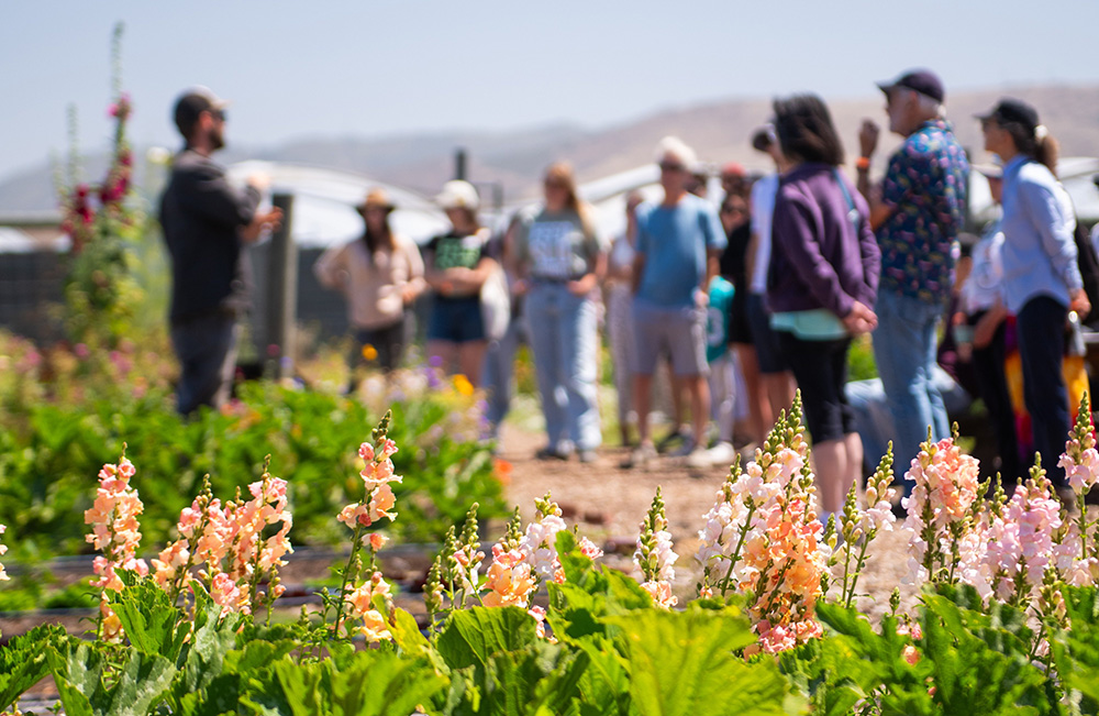 Summit seeks to strengthen agritourism