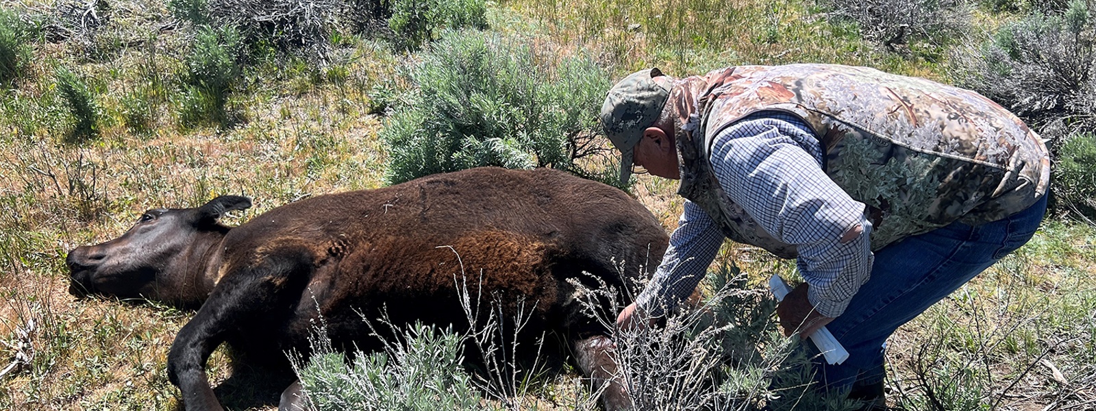 Balance needed to protect livestock, pets and people