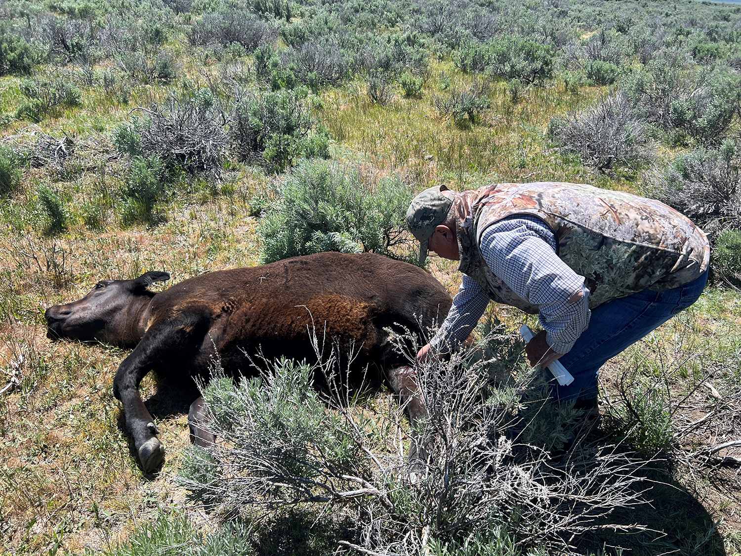 Balance needed to protect livestock, pets and people