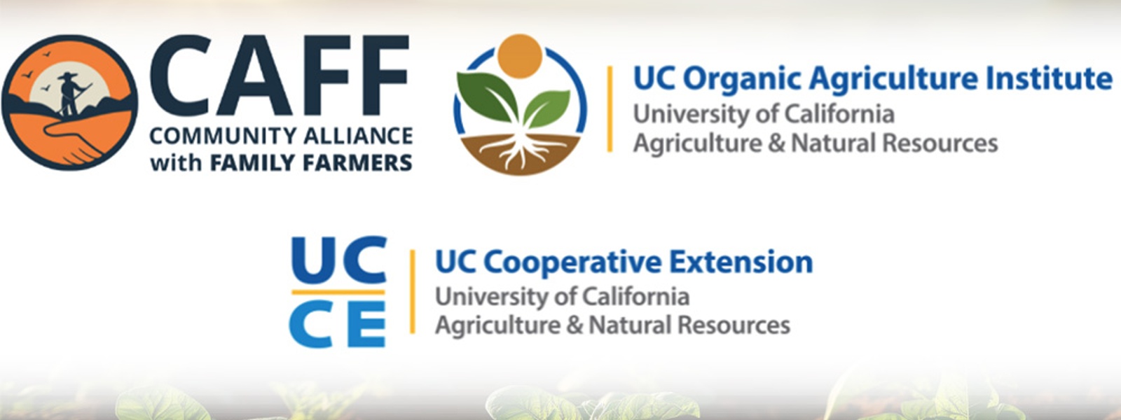 Webinar series aims to help farms transition to organic