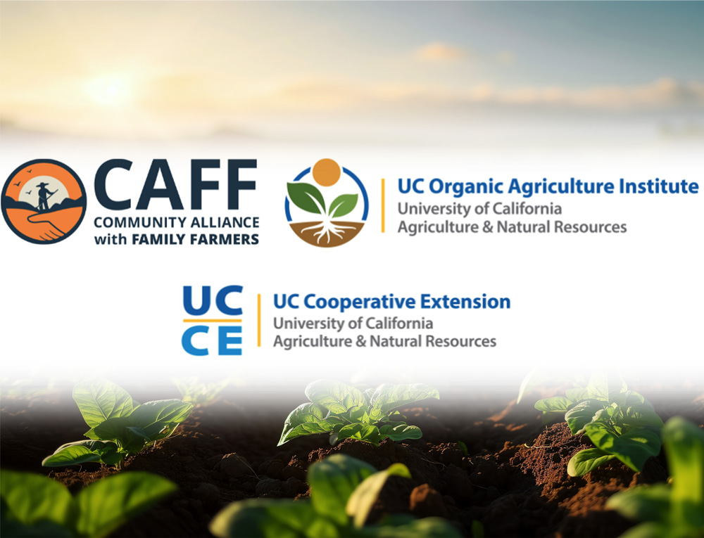 Webinar series aims to help farms transition to organic