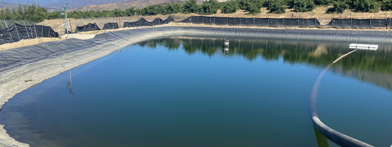 Wildfire losses inspire changes in avocado orchards