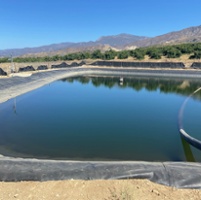 Wildfire losses inspire changes in avocado orchards