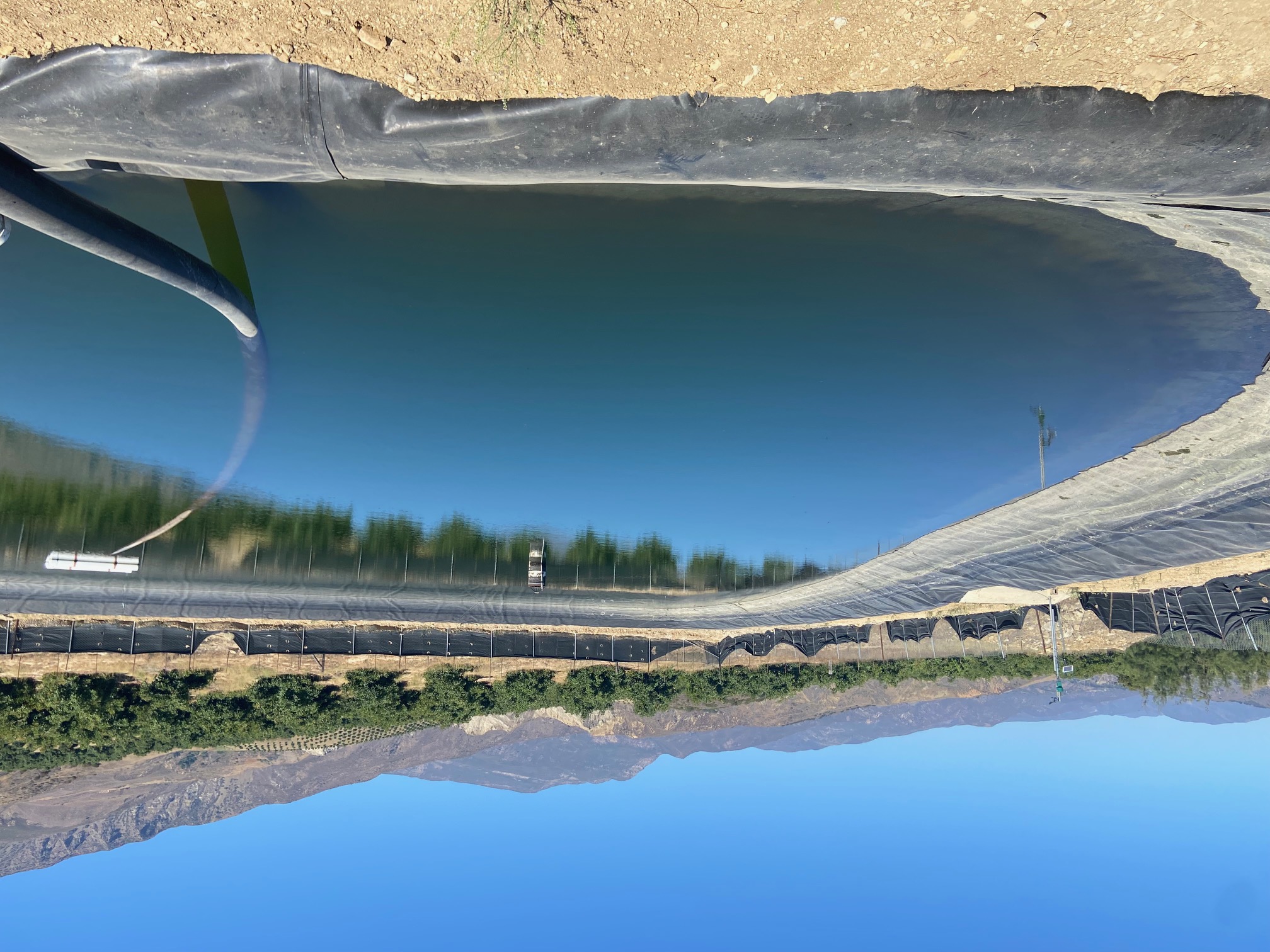 Wildfire losses inspire changes in avocado orchards