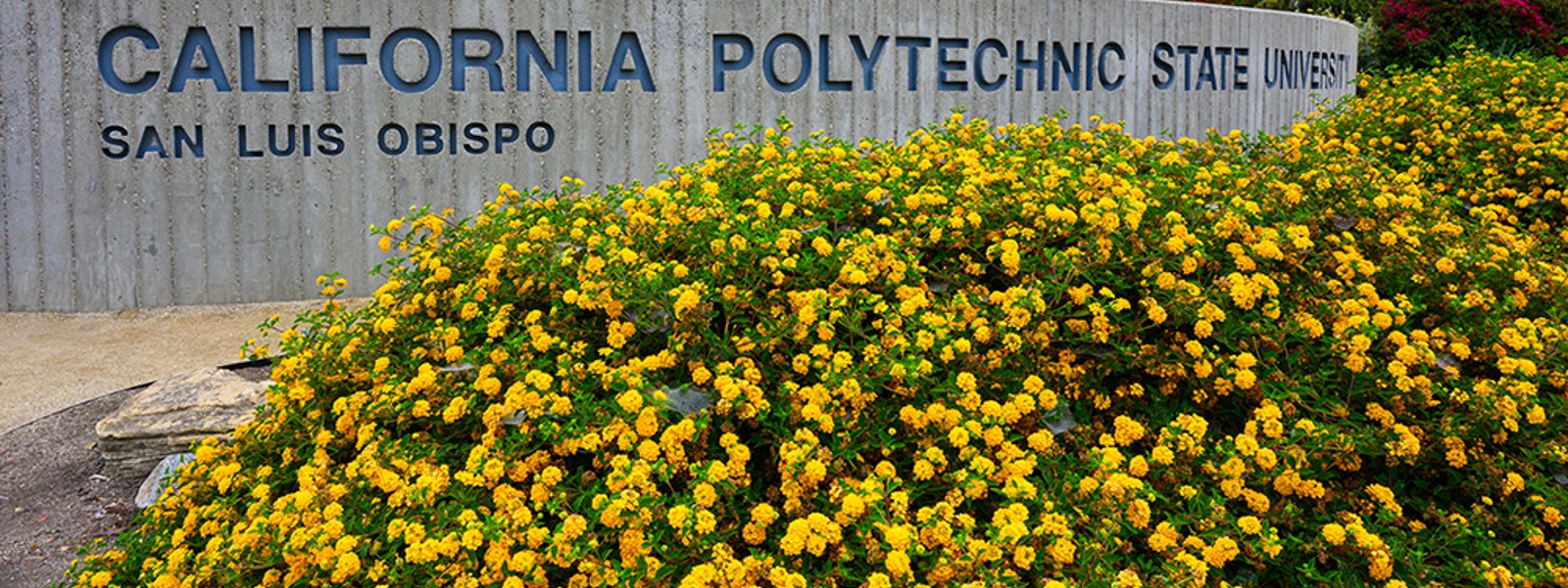 Cal Poly proposal jeopardizes its own farming roots