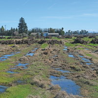 Commentary: The U.S. should stop subsidizing bulk wine imports