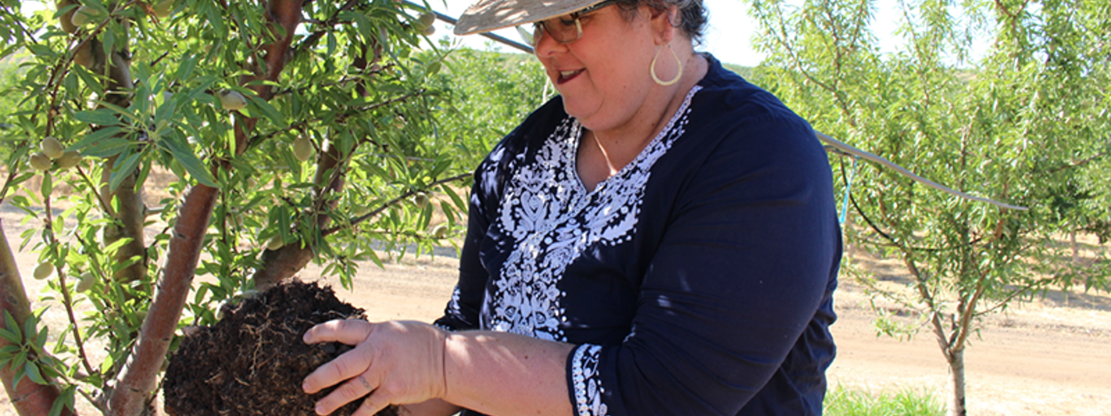 Cover crops offer water-holding benefits