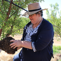 Cover crops offer water-holding benefits