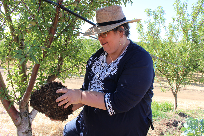 Cover crops offer water-holding benefits