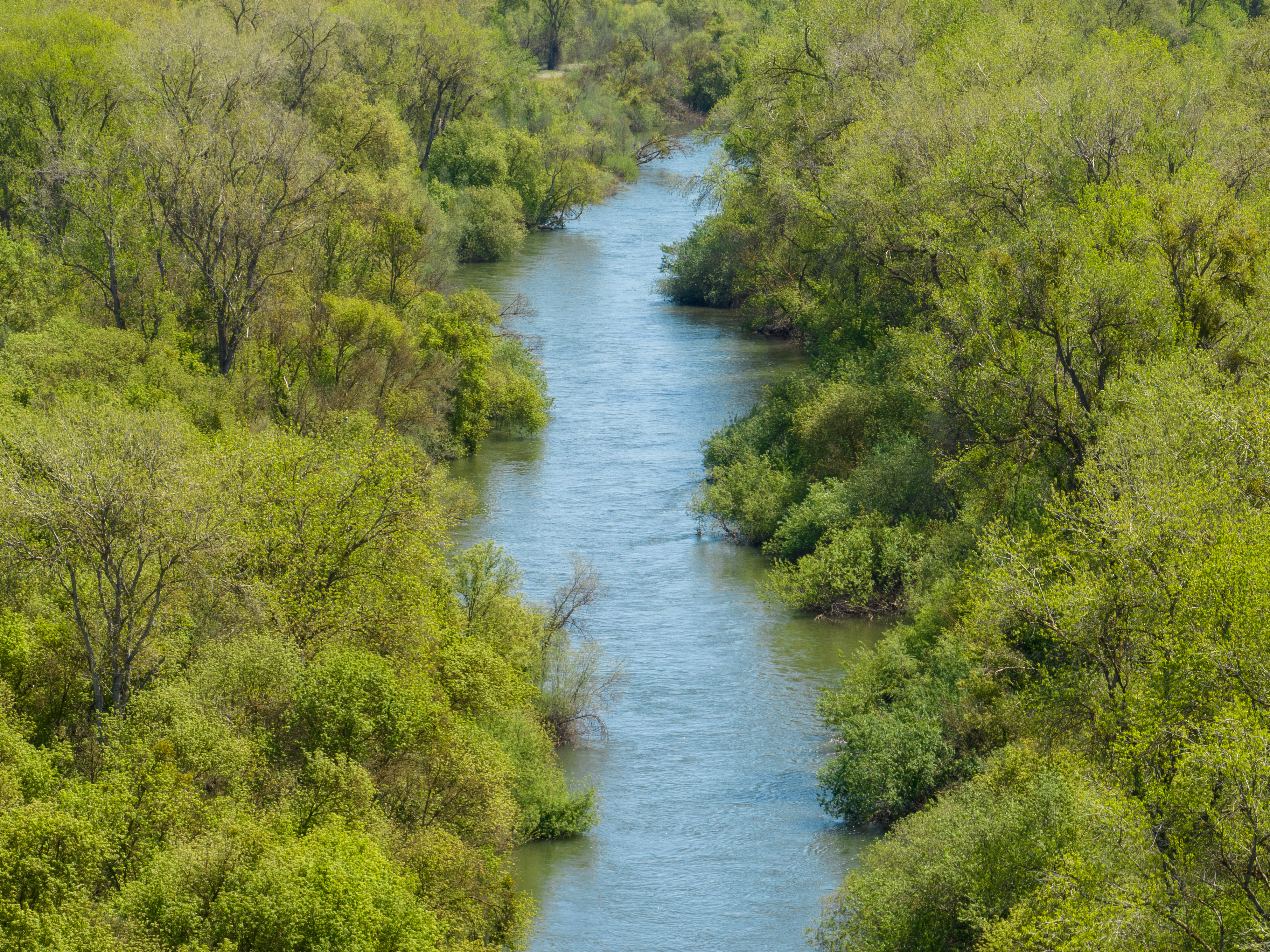 Court green lights state's flows plan, rejects all claims