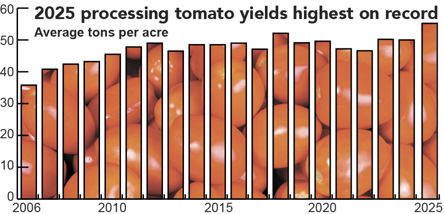 Tomato yields up as canneries try to reduce inventory