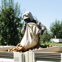 Bill brings back ag overtime tax credit proposal