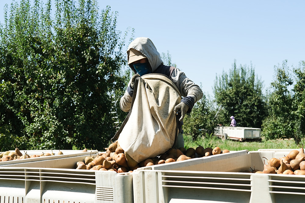 Bill brings back ag overtime tax credit proposal