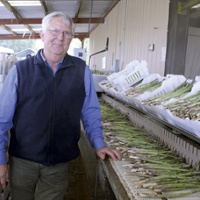 From the Fields:  Jim Durst, Yolo County farmer