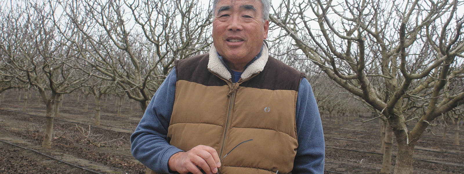From the Fields: Ray Yeung, Yolo County farmer