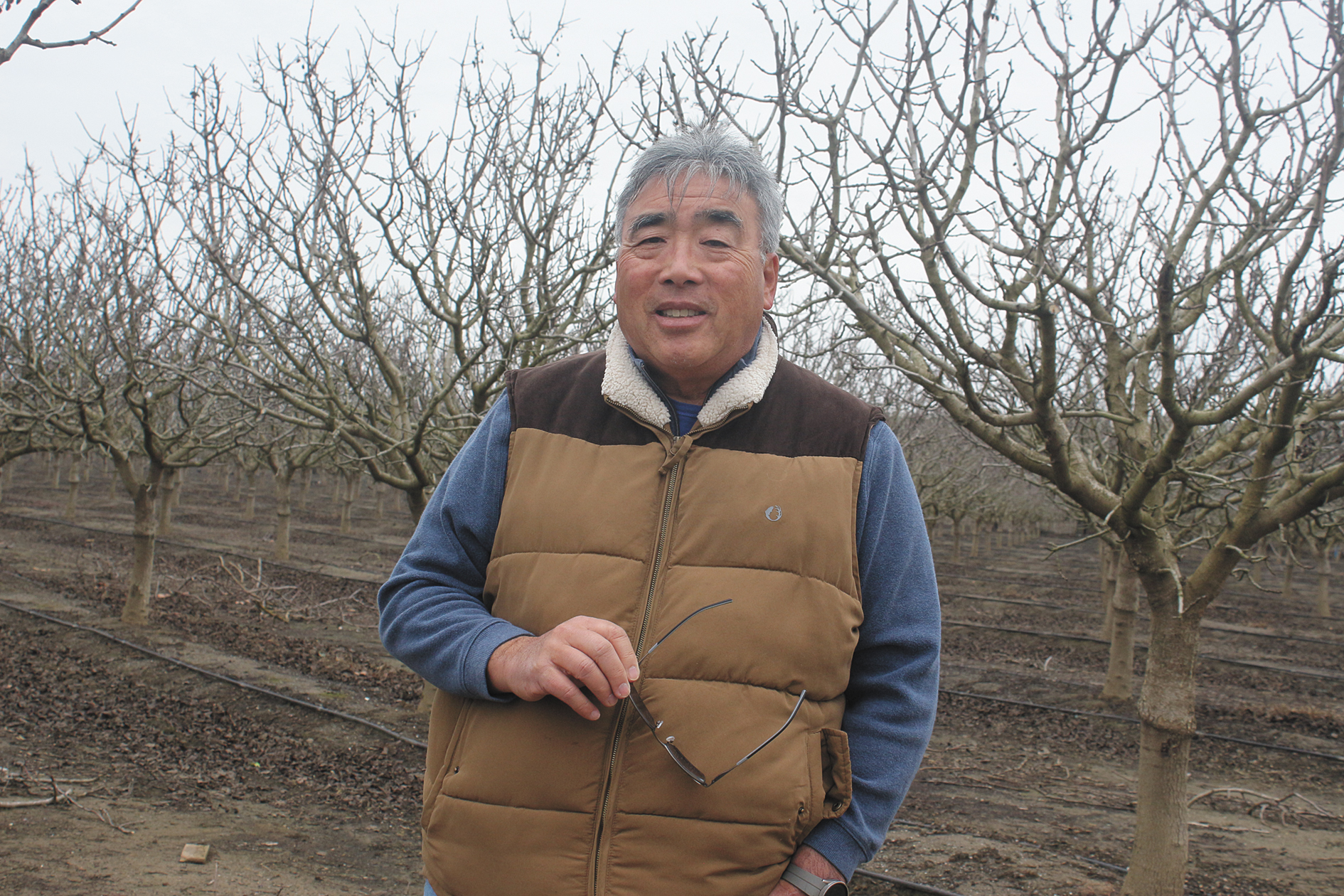 From the Fields: Ray Yeung, Yolo County farmer