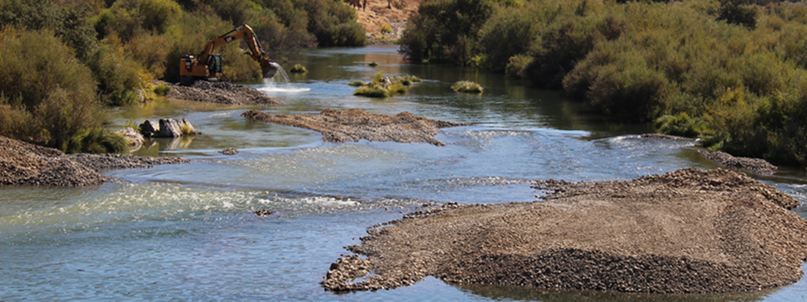 Tuolumne River salmon habitat enhanced